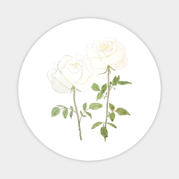 two white rose ink and watercolor Magnet by colorandcolor